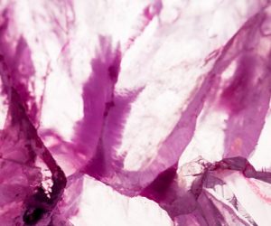 Marta Sablik : de multiples espoirs face aux rejets de greffe