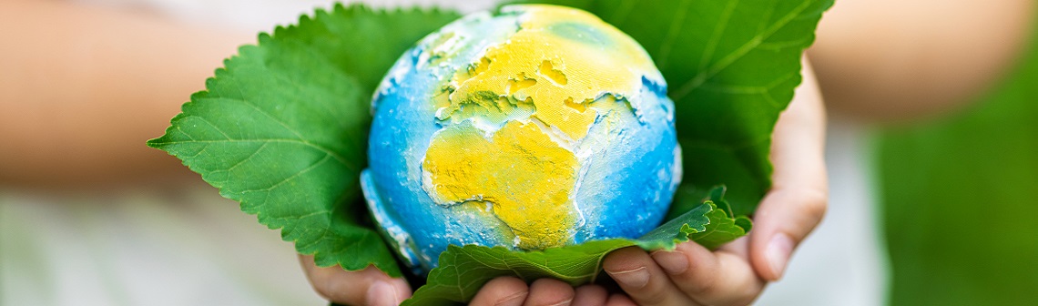 Pour une transition fondée sur les lois de l’énergie, pas sur les compromis