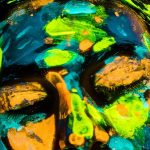 CES 2026 : quand l’innovation se passe d’intelligence artificielle (ou presque)