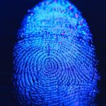 L’UE ouvre ses bases biométriques aux autorités américaines