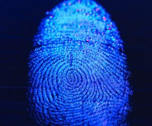 L’UE ouvre ses bases biométriques aux autorités américaines