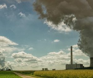 Marché du charbon : entre record de consommation et basculement progressif