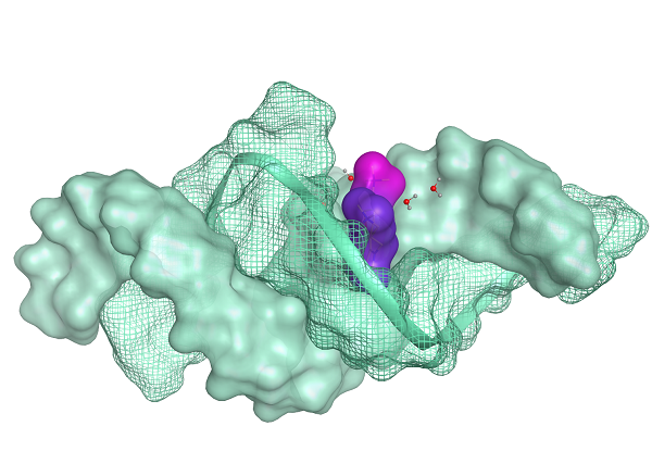 Simulation d'interactions entre de petites molécules et l’ARN Simulation d'interactions entre de petites molécules et l’ARN