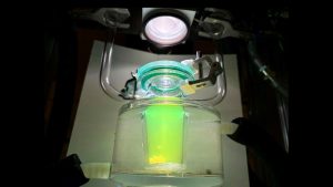 Formation de bulles d’hydrogène