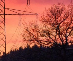 Électricité : le solaire et l'éolien dépassent les énergies fossiles en Europe en 2025