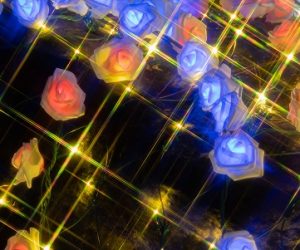 EURO-Q-EXA : un saut technologique pour l’Europe