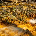 MS4Nature Pro : un outil SaaS pour simuler la dégradation des PFAS et accélérer la recherche de traitements efficaces