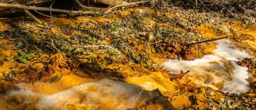 MS4Nature Pro : un outil SaaS pour simuler la dégradation des PFAS et accélérer la recherche de traitements efficaces