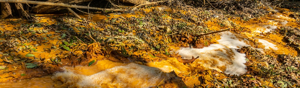 MS4Nature Pro : un outil SaaS pour simuler la dégradation des PFAS et accélérer la recherche de traitements efficaces