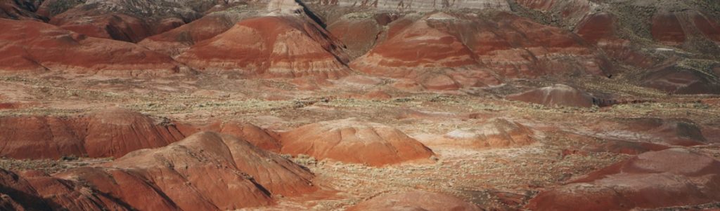 Récupérer les terres rares grâce à la cellulose