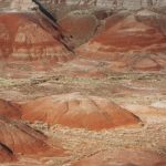 Récupérer les terres rares grâce à la cellulose