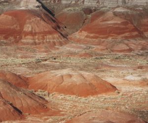 Récupérer les terres rares grâce à la cellulose