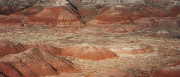 Récupérer les terres rares grâce à la cellulose