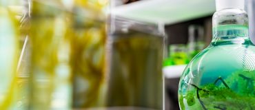 Vers un contrôle atomique des catalyseurs pour une chimie « verte » et durable