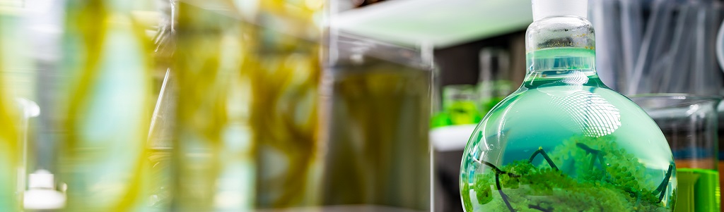 Vers un contrôle atomique des catalyseurs pour une chimie « verte » et durable