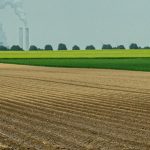 Contamination des sols au cadmium : dépolluer est-il possible ?