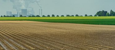 Contamination des sols au cadmium : dépolluer est-il possible ?