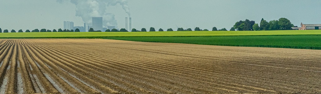 Contamination des sols au cadmium : dépolluer est-il possible ?
