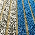 Derrière le scandale du cadmium, une surexposition globale aux contaminants chimiques