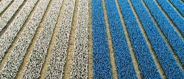 Derrière le scandale du cadmium, une surexposition globale aux contaminants chimiques