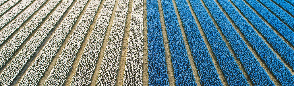 derriere-le-scandale-du-cadmium-une-surexposition-globale-aux-contaminants-chimiques