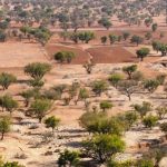 Maroc : cheval de Troie de l’industrie automobile chinoise ?