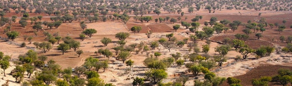 Maroc : cheval de Troie de l’industrie automobile chinoise ?
