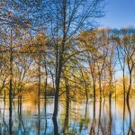 SNBC 3, la sortie des énergies fossiles reste le vrai point de bascule