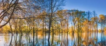 SNBC 3, la sortie des énergies fossiles reste le vrai point de bascule