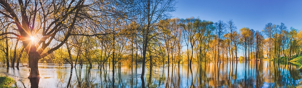 SNBC 3, la sortie des énergies fossiles reste le vrai point de bascule