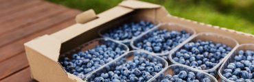 Application du règlement PPWR dès 2026 : quels changements pour l’industrie de l’emballage?