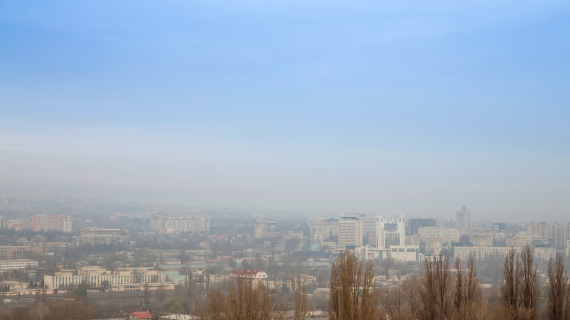 Qualité de l'air : un enjeu écologique et sanitaire