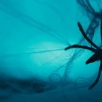 Soie d’araignée synthétique : du laboratoire à l’industrialisation