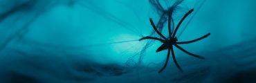 Soie d’araignée synthétique : du laboratoire à l’industrialisation