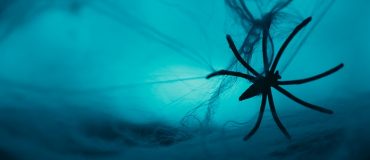 Soie d’araignée synthétique : du laboratoire à l’industrialisation