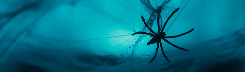 Soie d’araignée synthétique : du laboratoire à l’industrialisation