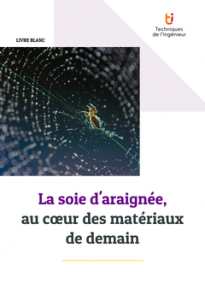 La soie d'araignée, au cœur des matériaux de demain