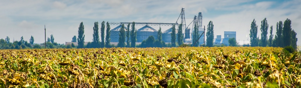 Adapter l’industrie maintenant pour éviter la facture climatique de demain