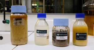 Exemples de coproduits industriels : biodiesels, huiles végétales, alcool cétylique et stéarylique Exemples de coproduits industriels : biodiesels, huiles végétales, alcool cétylique et stéarylique