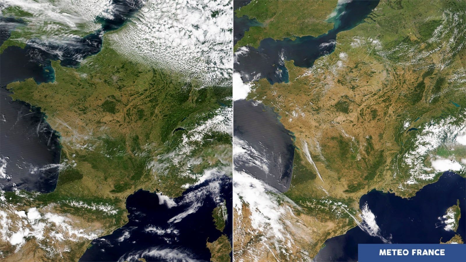 L’état d’assèchement de la végétation et des sols français L’état d’assèchement de la végétation et des sols français