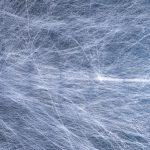 Soie d’araignée : quelles applications pour la fibre du futur ?