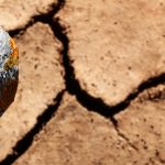 Vagues de chaleur à répétition : quel impact sur les sols et la biodiversité ?