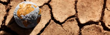 Vagues de chaleur à répétition : quel impact sur les sols et la biodiversité ?