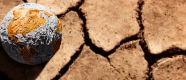 Vagues de chaleur à répétition : quel impact sur les sols et la biodiversité ?