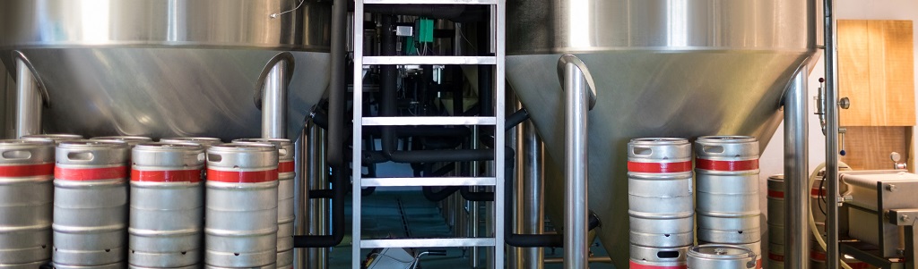 Biomolécules : la fermentation, une voie royale ?