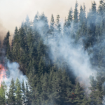 Détecter, anticiper, intervenir : les nouvelles technologies contre les feux de forêt