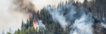 Détecter, anticiper, intervenir : les nouvelles technologies contre les feux de forêt