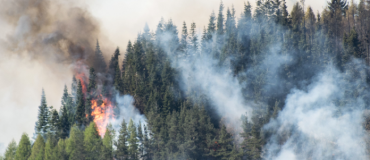 Détecter, anticiper, intervenir : les nouvelles technologies contre les feux de forêt
