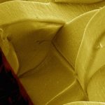 Des composites intelligents aux procédés hybrides, les nouvelles ruptures matériaux se préparent