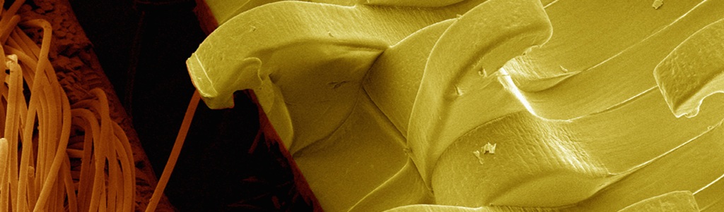 Des composites intelligents aux procédés hybrides, les nouvelles ruptures matériaux se préparent